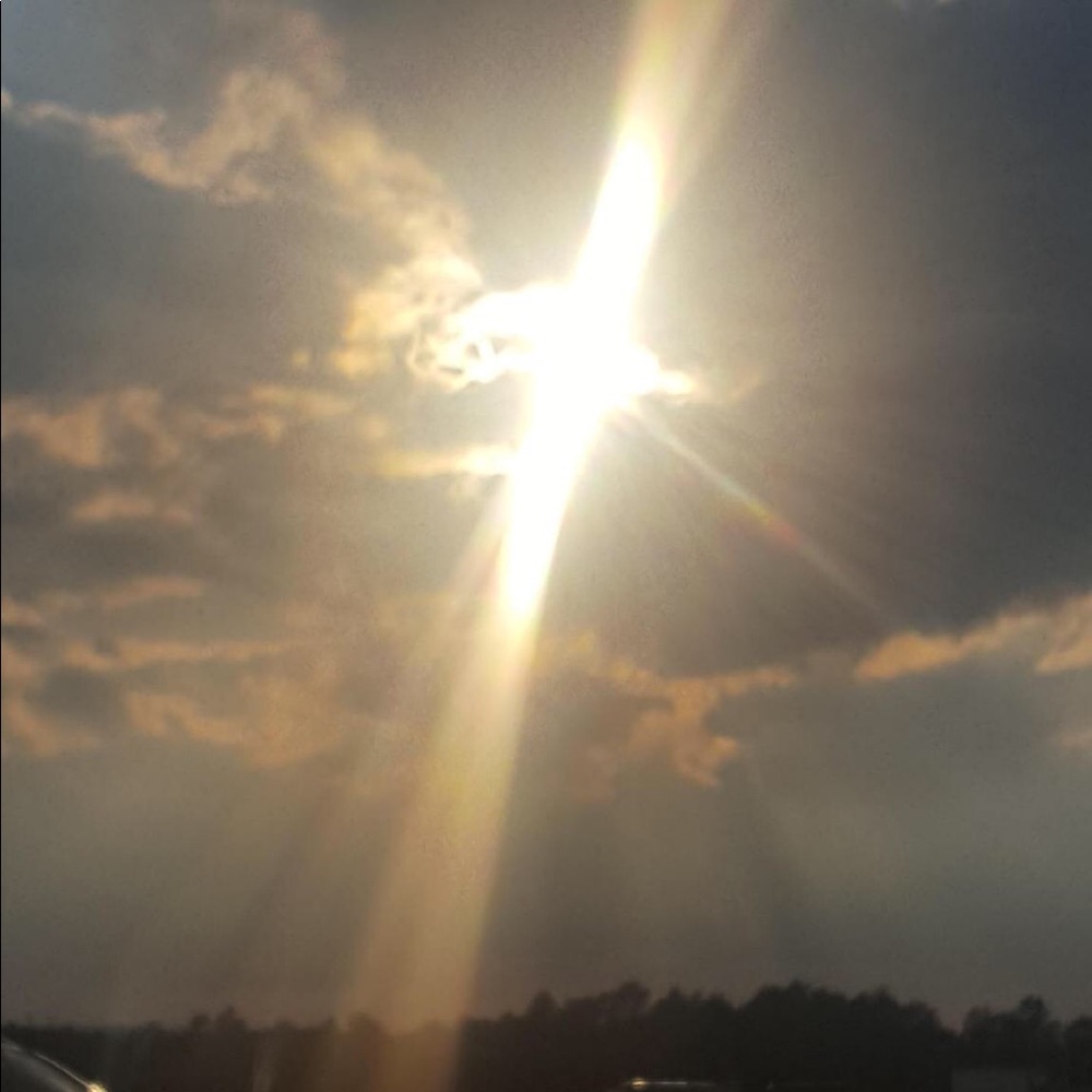 Meet your Posher, Bobbie